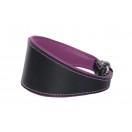  Ace Traditional Leather Dog Collar lined with super SOFT leather ::PURPLE LINING::